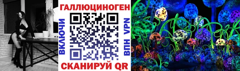 даркнет официальный сайт Чебаркуль Галлюциногенные грибы Psilocybe